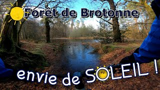 SOLEIL en Forêt de Brotonne , comment ça fait du bien #vtt xc mtb