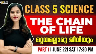 Class 5 Basic Science | The Chain Of life / ഒറ്റയല്ലൊരു ജീവിയും | Part 1 | Exam winner