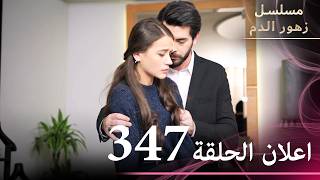 اعلان الحلقة 347 | مسلسل زهور الدم | مدبلج بالعربية | Kan Çiçekleri