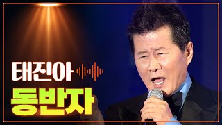 태진아 《동반자》 / MBC가요베스트  490회 목포 2부 160812