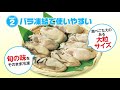 ぷっくり大粒！「co・op広島県産冷凍かき（大粒）」