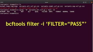 bcftools filter | Filtering variants using the FILTER field