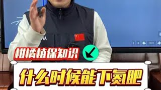 什么时候下氮肥，很多果农朋友搞不清楚，一个视频给你解答完柑橘 柑橘管理  柑橘种植 知识分享 施肥