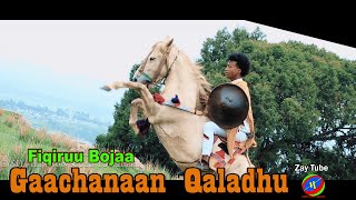 Fiqiruu Bojaa - Gaachanaan Qaladhu - New Oromo music - 2022 official video