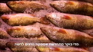 מחלקת הדגיה של 'חצי חינם'