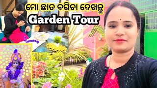 Garden Tour Video | Winter Garden Tour | December Garden Overview | Terrace Gardening |