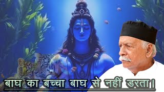 #video बाघ का बच्चा बाघ से नहीं डरता ।#shivcharcha #spirituality #song #charcha