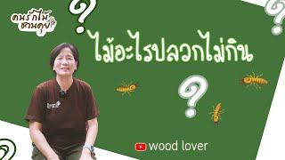 ไม้อะไรปลวกไม่กิน ???  #คนรักไม้ชวนคุย Ep.3