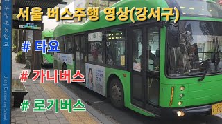 서울 낮시간 시내버스 주행영상 (강서구)