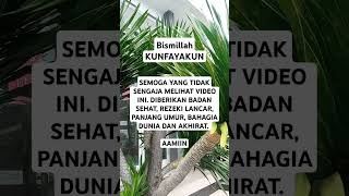 Ucapan adalah doa #shortvideo #quotes #kunfayakun #motivation