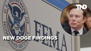 DOGE sounds alarm over $59M FEMA payment for NYC migrant housing: 'Gross insubordination'