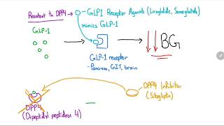 GLP-1 Receptor Agonists and DPP4 Inhibitors Explained in 4 Minutes