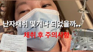 [난임Vlog]과연 내 난자채취 갯수는 몇개일까?!, 시험관브이로그, 난임부부, 난자채취, 채취 후 주의사항, 뇌하수체선종, 뇌하수체선종환자의난임이야기,시험관1차