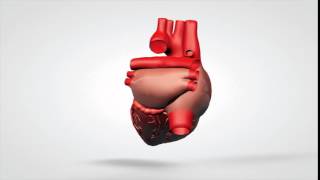 3d animated rotation heart