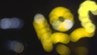 SA Zoo lights up for Christmas season