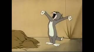 tom and jerry non stop 11hours