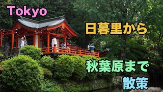 日暮里から秋葉原まで散歩して、根津神社と湯島天満宮 (Tokyo, Japan, 4K )