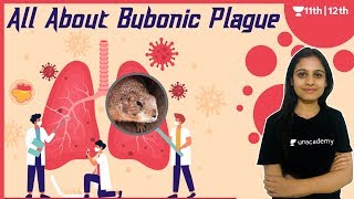 All about Bubonic Plague | Bacterial Infection | CBSE | Unacademy Class 11 & 12 | Simran Ma'am