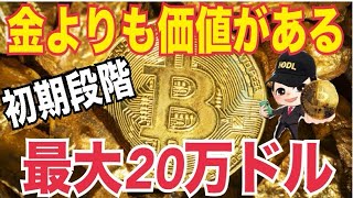 「ビットコインが金を超える時代」2025年ビットコイン価格12万5000ドル〜20万ドルのレンジ！？