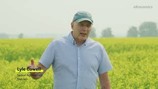 Canola's Important Role in Canadian Agriculture