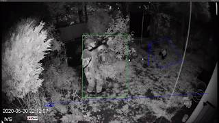 Dahua IVS. Detection in hard condition whether using "Tripwire" and "Missing Object" detection mode.
