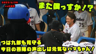 つば九郎も見守る！　今日の燕陣の声出しは元気なハマちゃん！！　2023/6/30 vs広島