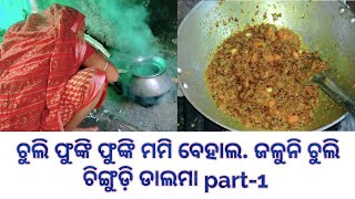 Mission ଚିଙ୍ଗୁଡ଼ି ଡାଲମା କଣ ହୋଇପାରିବ ||କଲିଜା କରାଟ କଷା ଓଃ କି ଟେଷ୍ଟି @Amairadas