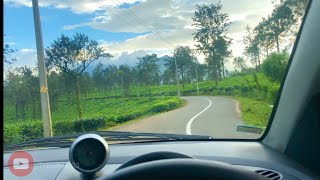 A beautiful journey through the tea gardens of Wayanad/വയനാട്ടിലെ തേയില തോട്ടങ്ങൾക്ക് ഇടയിലൂടെ