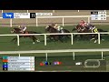 Gulfstream Park Carrera 11 - 20 de Enero 2024