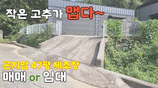 [매물번호 93282] 경기광주 수양리 소형 제조공장 매매 또는 임대. 단독마당 민원 소지 없는 위치. 단독공장. 하수처리외지역.