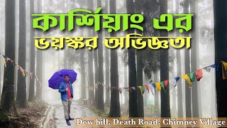 Kurseong এর ভৌতিক অভিজ্ঞতা || Dow Hill, Death Road, Chimney Village ||  Vlog~28