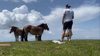 Hike Mount Gorbeya in the Basque Country. Northern Spain. 4K video.