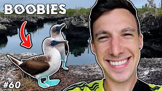 Los Tuneles Tour on the Galápagos Islands 🇪🇨 |Ep. 60|