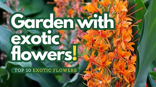 🌺 Top 10 Exotic Flowers || Easy Care Guide for Garden Paths 🌿