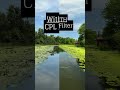 Get STUNNING photos with a CPL filter & your iPhone #iphoneaccessories #cplfilter #iphonephotography