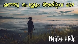 Exploring Misty Green Hills Arimbra | Malappuram | B2 Vibes