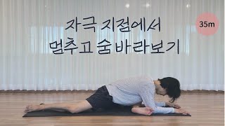 자극 지점에서 멈추고 숨 바라보기| 35분 | ZOOM요가수업 | 요가하는인간 #027