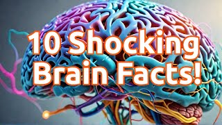 10 Fascinating Facts About the Human Brain You Probably Didn’t Know! #BrainFacts #HumanBrain