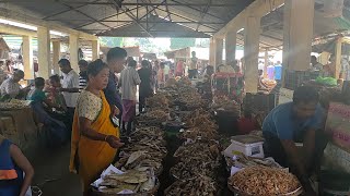 manu dry fish market ।। Tripura b,c manu bazar