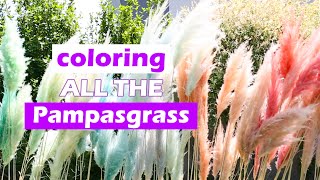 Coloring a lot of Pampasgrass for my Wedding | How To Dye Pampas Grass