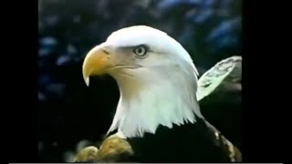 'Wildlife' Stamps Commercial (US, 1974)