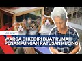 Penuh Perjuangan! Seorang Ibu di Kediri Jatim Ini Buat Rumah Penampungan Ratusan Kucing Liar