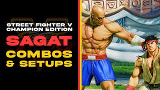 SAGAT COMBOS \u0026 SETUPS | SFV CE | SEASON 5