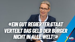 Ein gut regierter Staat verteilt das Geld der Bürger nicht in alle Welt! - Alice Weidel