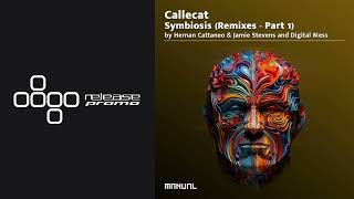 PREMIERE: Callecat, Nick Varon - Beyond Perceptions (Hernan Cattaneo \u0026 Jamie Stevens Remix) [Manual]