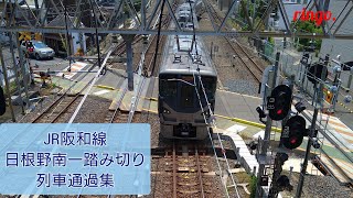 【JR阪和線】日根野南一踏切 列車通過集