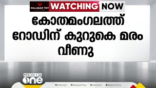 എറണാകുളം കോതമംഗലത്ത് റോഡിന് കുറുകെ മരം വീണ് ഗതാഗതം തടസപ്പെട്ടു