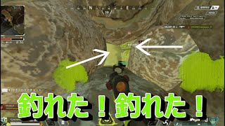 【APEX】これが誘拐ポータルの神髄www