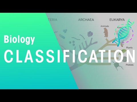 What is the other term for organisms?