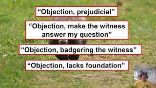 7.3.  Objections for Mock Trial  (Intro to Mock Trial)